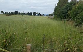 Edenroc